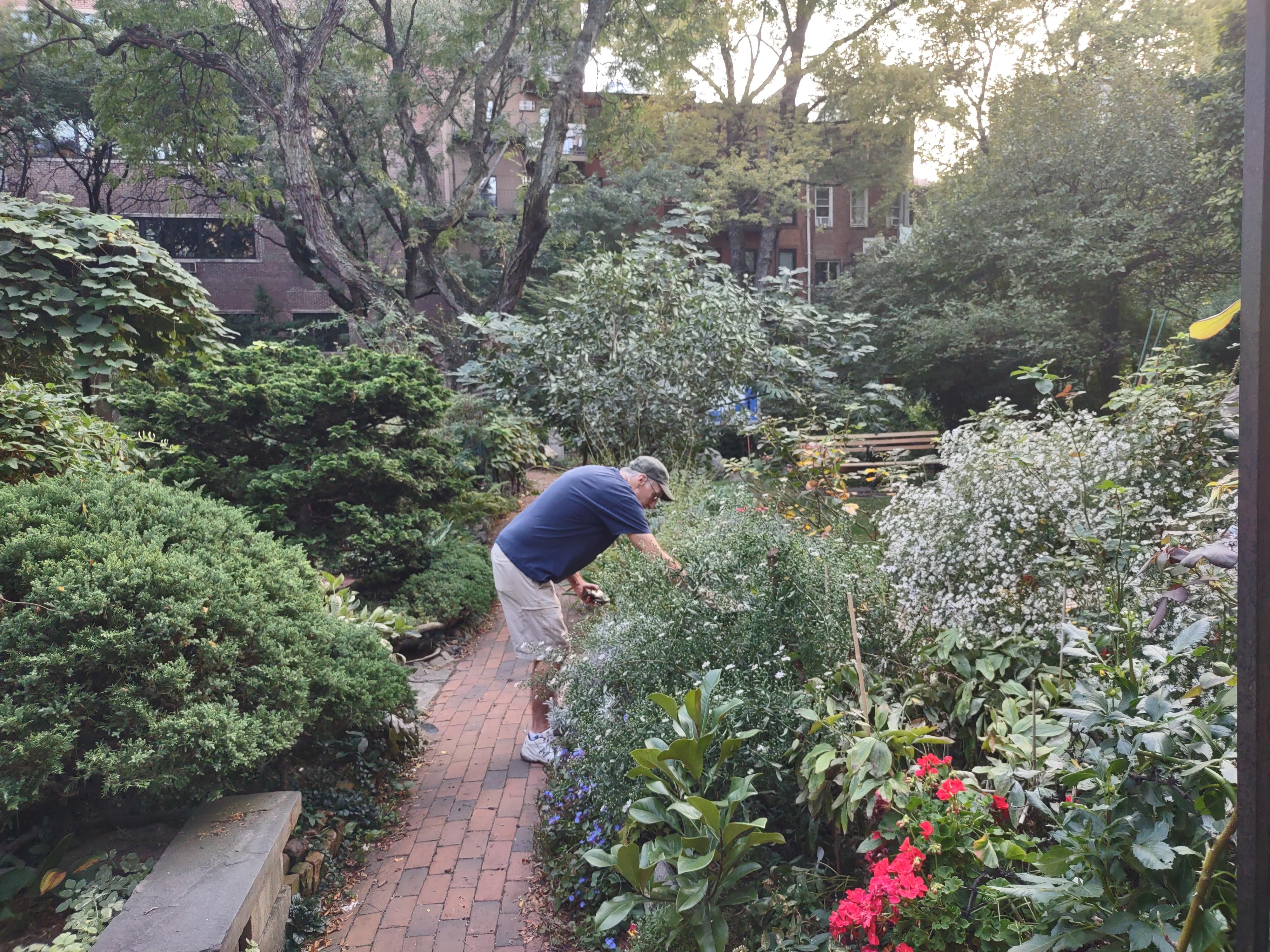 Clinton Community Garden